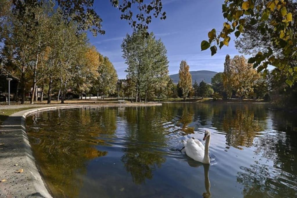 Ideal Parejas - Tranquilidad Y Naturaleza - Vistas Al Lago Osséja Dış mekan fotoğraf